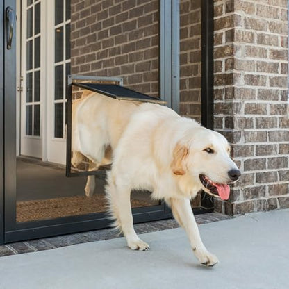 PetSafe Dog Door for Screen Door Size Large for Dogs and Cats up to 100 lb Use in Screen Doors Window Screens and Porch Screens - size: Large (Pack of 1)