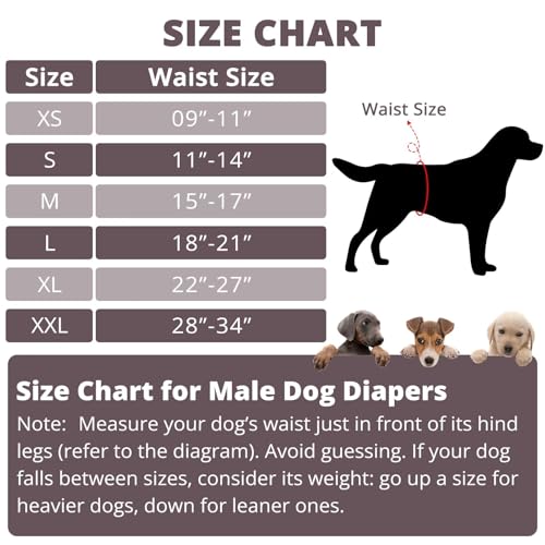 Paw Legend Washable Dogs Diapers Male Dog Belly Bands for Male Dogs Diapers Reusable Puppy & Doggie Diapers Male - color: Purple Grey, Green, Brown, size: X-Small
