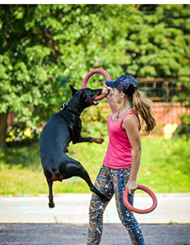 Dog Disc Toy Flying Ring Pets Flying Disc Dog Chew Toys Non-Toxic Fitness Ring Dogs DT103 Red 10.8 inch - color: Red, size: 10.8 inch