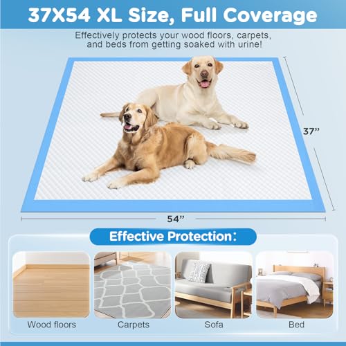 iweepet Enormous 37"x 54" Dog Training Potty Pads, Super Absorbent & Leak-Proof 6 Layers Puppy Pads 30 Counts, Disposable Dog Pee Pads Extra Large for Puppy, Surgery, Older, Cats, Rabbits - size: 37"x54" Blue