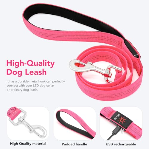 Colaseeme LED Light Up Dog Leash, USB Rechargeable (4FT,Pink) | Glow in dark, reflective, USB-C rechargeable, bright LED for night safety, fits small to large dogs - color: Pink, size: 4FT