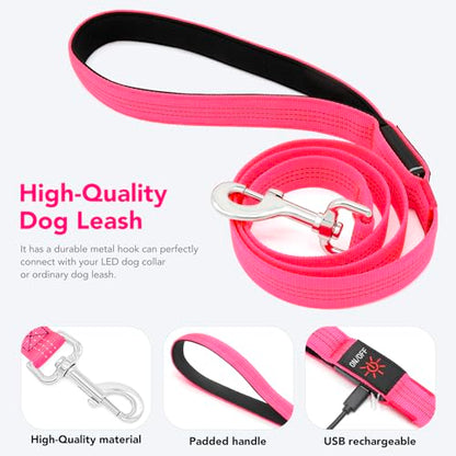Colaseeme LED Light Up Dog Leash, USB Rechargeable (4FT,Pink) | Glow in dark, reflective, USB-C rechargeable, bright LED for night safety, fits small to large dogs - color: Pink, size: 4FT