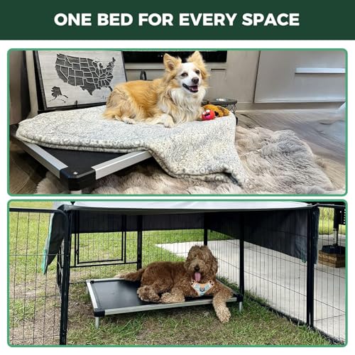 FXW TitanNest Chew-Proof Elevated Dog Bed, Raised Cot for Indoor/Outdoor/Camping Use, Durable & Waterproof Cooling Pet Bed for Medium Dogs, 41.0" L x 27.0" W x 5.0" H, Black - size: Medium Dog (41.0"L x 27.0"W x 5.0"H)