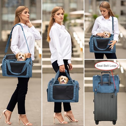 EliteField Deluxe Soft-Sided Pet Carrier (3 Year Warranty, Airline Approved), Travel Bag for Dogs, Cats & Small Pets, with Expandable Mat - color: Blue Gray, size: Medium: 18"L x 11"W x 11"H