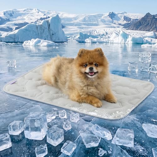 LE SURE Dog Cooling Mat for Small Dogs - QMAX>0.5 Breathable Thin Cool Crate Pad for Cat with Chill Fiber and Innovative Mesh Base Design, Portable Washable Pet Kennel Mat for Summer, 24x18,Grey - color: Grey, size: 24" x 18" (Small)