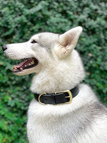 Tuff Pupper Classic Heavy Duty Dog Collar | 10x Stronger Than Leather | 100% Waterproof & Odor Proof Dog Collar | Tough Rust-Proof All Metal Hardware - color: Epic Black