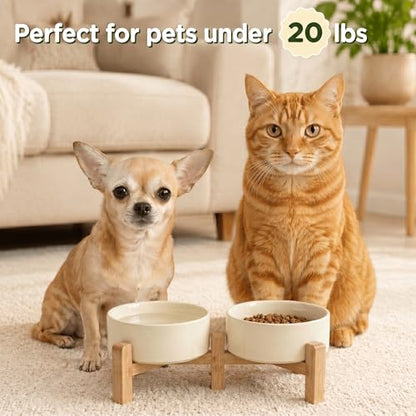 SPUNKYJUNKY Elevated Dog Bowls Ceramic, 5.1'' Dogs and Cat Food Water Bowls Raised with Non-Slip Bamboo Stand for Puppy Small Sized Breed Microwave Dishwasher Safe - 13.5 OZ,Beige - color: Beige, size: 5.1 in - 1.7 cups