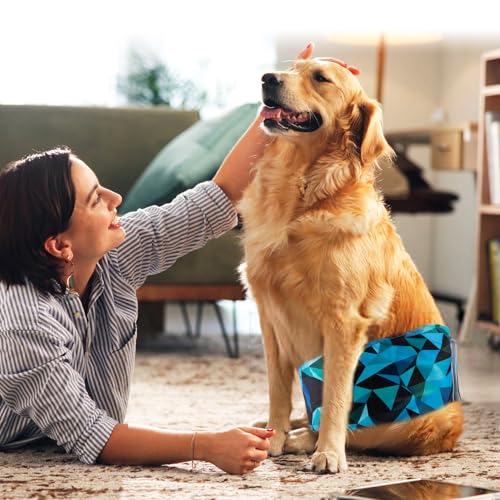 wegreeco Small Dog Diapers Male,Reusable Belly Bands for Male Dogs,Washable Doggie Puppy Male Diapers Wraps,Medium Large Size(5 Pack X-Small, Dark Geometry) - color: Dark Geometry, size: X-Small