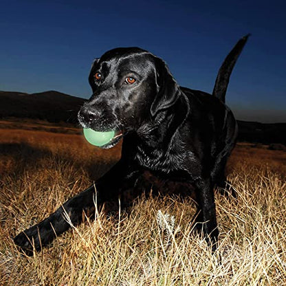 Chuckit! Glow in the Dark Bouncy Balls - Ball for Dogs, Chuckit Dog Toy, Max Glow Balls - Medium, 2.5 Inch, Pack of 4 - size: Medium