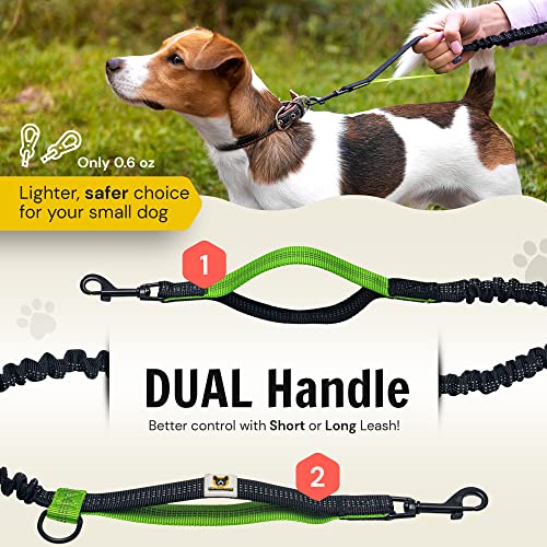 Hundefreund Hands-Free Dog Leash for Small Dogs 10 to 30 lbs - Lightweight Waist Leash with Bungee (43–63"), Padded Belt (26–47") & Pouch – Dual Handles, Reflective Stitching for Walking & Jogging
