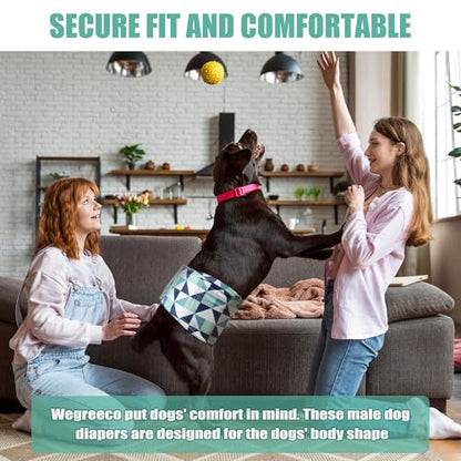 wegreeco Washable Male Dog Diapers (Pack of 3) - Washable Male Dog Belly Wrap (Geometrical Blue Green Coffee, X-Small) - color: Geometrical Blue Green Coffee, size: X-Small (Pack of 3)