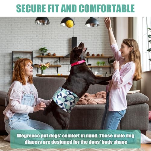 wegreeco Washable Dog Diaper Male (Pack of 3) - Washable Male Dog Belly Wrap (Geometrical Blue Green Coffee, Small) - color: Geometrical Blue Green Coffee, size: Small (Pack of 3)