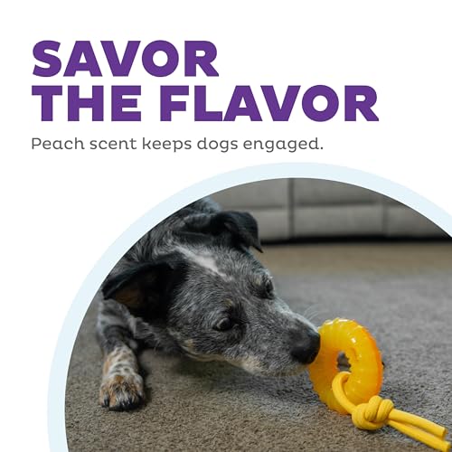 Outward Hound Gummiez Peach Ring 2-in-1 Dental Dog Chew Toy and Treat Stuffer Game, Peach Scent - color: Gummiez Peach Ring