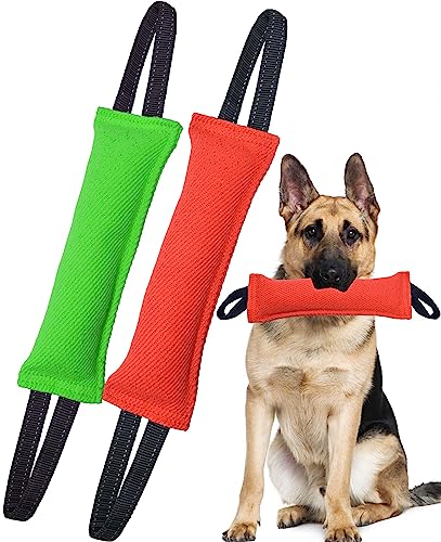 Clysoru Dog Tug Toy Double Pack Tough Jute Bite Pillow Training Equipment Puppy to Large Dogs Interactive - color: red green