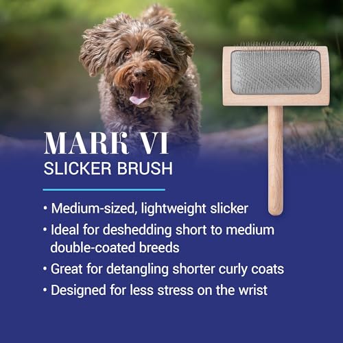 Chris Christensen Mark VI Curved Back Slicker Brush for Dogs, 12mm Pins, Groom Like a Pro, Handcrafted Lightweight Beechwood Ergonomic Handle, Stainless Steel Pins, A5VI, Medium. Made in Germany. - size: Mark VI Medium Curved Back