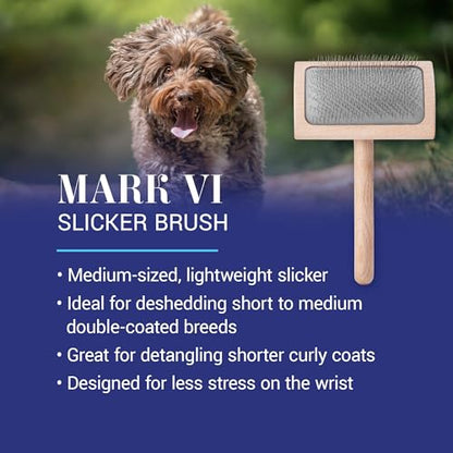 Chris Christensen Mark VI Curved Back Slicker Brush for Dogs, 12mm Pins, Groom Like a Pro, Handcrafted Lightweight Beechwood Ergonomic Handle, Stainless Steel Pins, A5VI, Medium. Made in Germany. - size: Mark VI Medium Curved Back