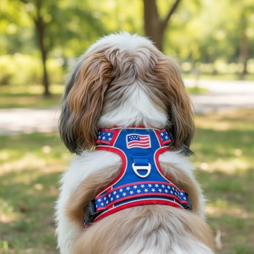 Small Dog Harness No Pull, Puppy Harness with 3 Quick Snap Buckles, Escape Proof Easy Walk Vest for Pug, Mini Schnauzer, Lightweight Tactical Pet Doggy Gear with Handle (S Size) - size: Small