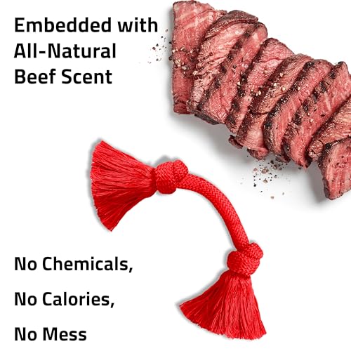 Playology Dog Toys | Dri-Tech Rope Tug of War Dog Toy for Tough Chewers | Beef Scented Medium Tug Rope Toys for Dogs - size: Medium, style: Beef
