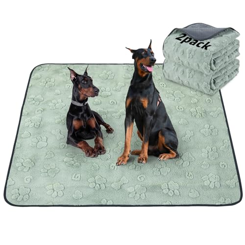 LOOBANI 2 Packs Extra Large Washable Pee Pads for Dogs,72x72in Non-Slip Reusable Puppy Pads, Super Absorbent Pet Whelping Pads, Puppy Playpen Mat for Incontinence, Housebreak, Floor and Bed - color: Green Dog Element, size: 72"x72"(Pack of 2)