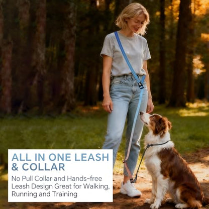 QQPETS Adjustable Slip Lead Dog Leash, Hands Free Waist Leash for Dog Walking, Reflective Training Lead with 360° Swivel Anti-Tangle, 4-7 ft Length for All Breeds - color: Sunset Gradient