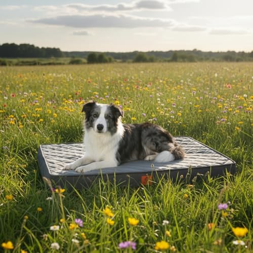 Orthopedic Egg Crate Foam Large Dog Bed | 35x22 inch, holds up to 50 lbs, waterproof, machine washable, non-slip bottom, crate indoor use, dark grey - size: 35"L x 22"W x 3"Th