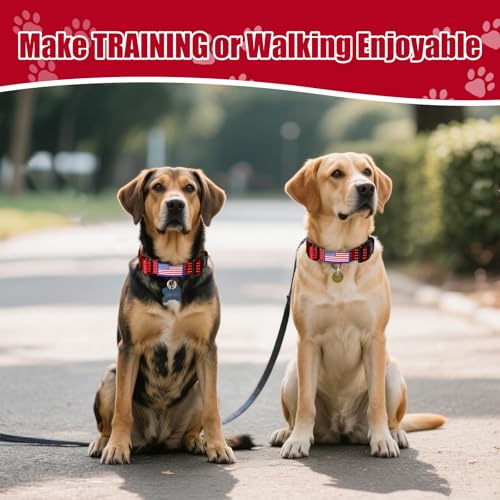 Martingale Dog Collar, Reflective No Pull Training Collar with Quick Release Buckle & USA Flag, Heavy-Duty Nylon, Adjustable for Small Medium Large Dogs (M,Red with Flag - color: Red with Flag, size: M (1" x 15.5"-19.5")