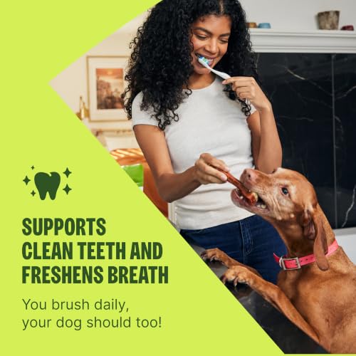 Wellness WHIMZEES Puppy Natural Dog Dental Treat, Chews, Freshens Breath, Medium/Large Size, 7.9 oz Bag, 14 Count - size: 7.4 ounce (Pack of 1)