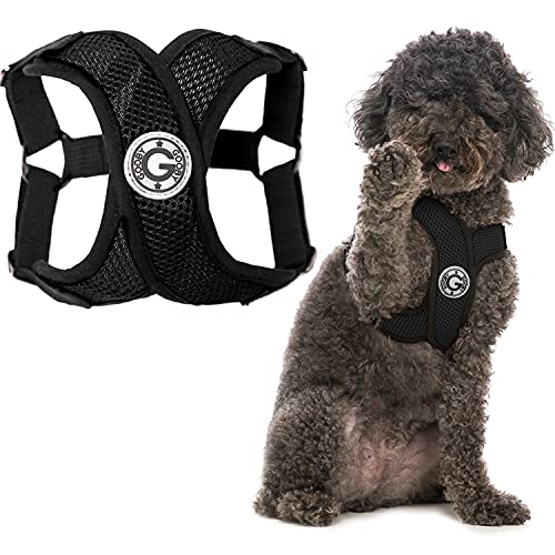 Gooby - Comfort X Step-in Harness, Choke Free Small Dog Harness with Micro Suede Trimming and Patented X Frame, Black, Small - color: Black, size: Small
