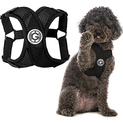 Gooby - Comfort X Step-in Harness, Choke Free Small Dog Harness with Micro Suede Trimming and Patented X Frame, Black, Small - color: Black, size: Small
