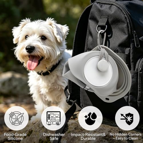 Dog Water Bottle 550ml with Collapsible Bowl Set, Leakproof Portable Pet Water Bottle, Silicone Travel Bottle for Walking, Hiking, Camping, Light Grey