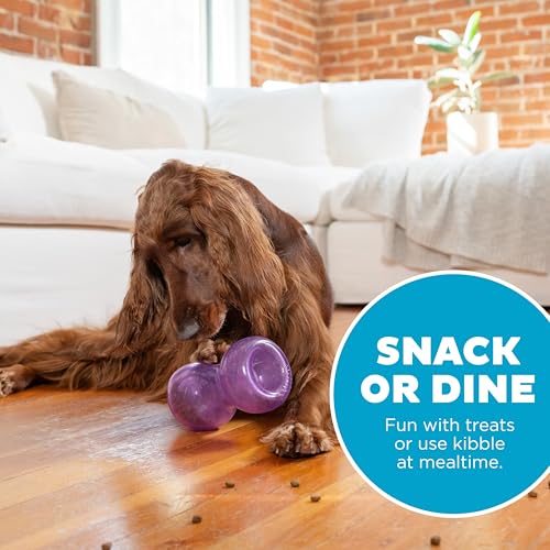 Outward Hound Double Snoop Interactive Treat Dispensing Dog Toy, Puzzle Ball Slow Feeder for Medium to Large Dogs, Mint-Scented for Mental Stimulation & Boredom Relief, 6in x 4in - color: Double Snoop (Purple)