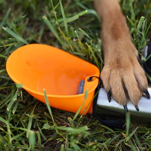 Messy Mutts Double Wall Vacuum Insulated Stainless Steel Travel Water Bottle with Silicone Flip Up Bowl | Pet Travel Necessity | Camping, Hiking, Walking Accessory | 20 oz / 600mL | Orange