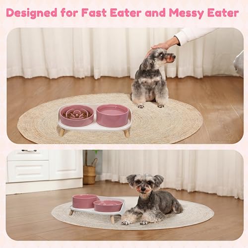 Elevated Slow Feeder Dog Bowls - Ceramic Food and Water Bowl Set with Stand - Raised Pet Dishes for Small and Medium Sized Dogs - color: Pink