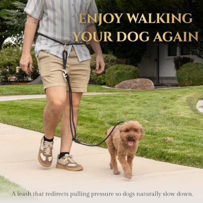 Hands-Free No-Pull Dog Leash | Durable Adjustable Training Lead for Dogs | Calm Command Outdoor Activity Leash for Active Pet Lifestyle Breeds | Ergonomic Handle - Large (60+ lbs) - size: Large