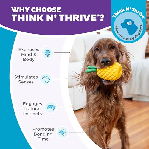 Outward Hound Dental Pineapple Dog Toy & Treat Stuffer, 6.8″ x 3.3″ Pineapple-Scent Interactive Chew for Dogs, Promote Healthy Teeth, Gums & Mental Enrichment, Reduce Boredom & Support Dental Health - color: Pineapple