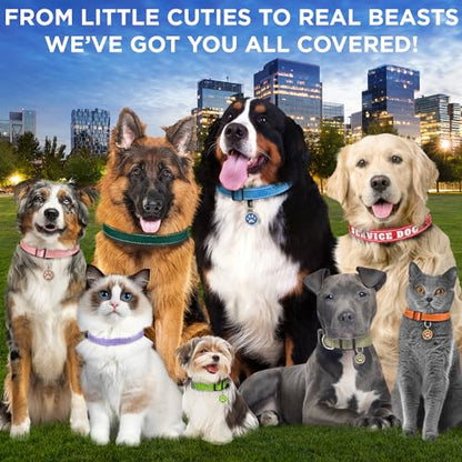 TECEUM Reflective Dog Collar – Black – S – Extra Soft Padding – Basic Nylon Pet Collar – Quick Release Buckle – Fits Small, Medium and Large Dogs, Puppies, Cats – ESA & Service Dog Options - color: Black, size: Small