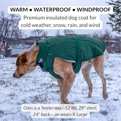 DJANGO Insulated Puffer Dog Jacket with Harness Hole – Warm, Water-Repellent Winter Dog Coat Large Dogs – Adjustable, Reflective Cold Weather Dog Apparel for Fall, Snow, Rain – Lafayette Green, Large - color: Lafayette Green, size: Large
