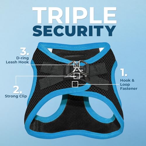 Best Pet Supplies - All Weather Mesh, Reflective, No Pull Harness for Small, Medium Dogs, Cats - Secure with Hook & Loop Fastener, Buckle, Double D-Rings - Blue Trim, XS - color: Harness (Blue Trim), size: XS (Chest: 13 - 14.5")