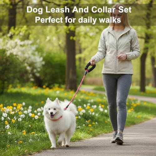 Dog Leash and Collar Set – 6 FT Strong Rope Leash with Padded Handle & Adjustable Nylon Collar Reflective for Small Medium Large Dogs (Pink, L) - color: Pink, size: L