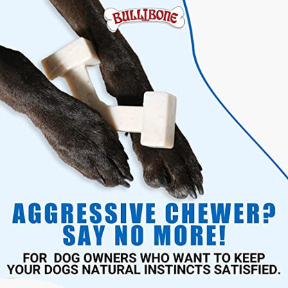 Bullibone Nylon Dog Chew Toy Spin-a-Bone - Interactive Dog Toy, Triggers Natural Instincts, and Improves Oral Health - size: Small / Medium Dog Single