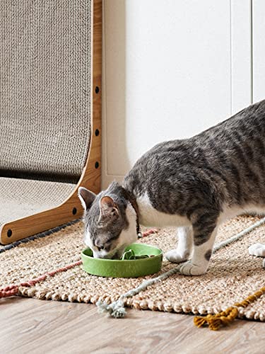Ceramic Slow Feeder Dog Bowls Small Breed, 0.5 Cups Dog Food Dish for Fast Eaters, Puzzle Bowl for Small Dogs and Cats, 5.5 Inch-Green - color: Green