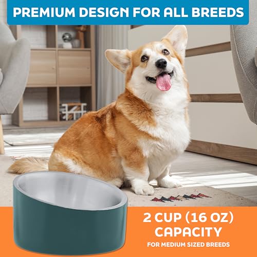 Master Pet Supply Stainless Steel Slanted Dog Cat Food Bowl - 16 oz Heavy Duty - Emerald Sea, Double Wall Insulated, Non-Slip Elevated Bowl for French Bulldogs Pugs Cats, Anti Rust Dishwasher Safe - color: Emerald Sea, size: 2 Cups (16 oz)