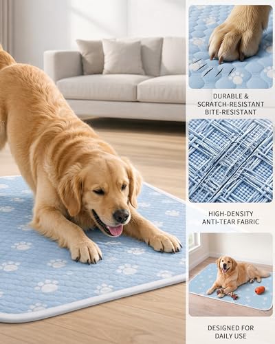 BWX Cooling Mat for Dogs - Easy Clean & Fold Cool Mat for Dogs, Chew Resistant Dog Cooling Pad with Non-Slip Bottom & Chill Soothing Fabric (M/20''×28'') - size: M/20''×28''