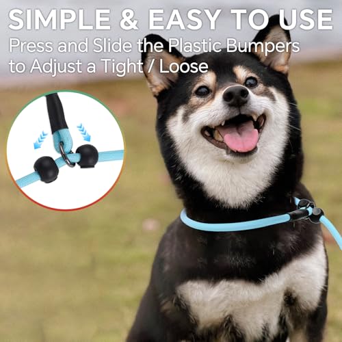 QQPETS Adjustable Slip Lead Dog Leash, Hands Free Waist Leash for Dog Walking, Reflective Training Lead with 360° Swivel Anti-Tangle, 4-7 ft Length for All Breeds - color: Vibrant Gradient