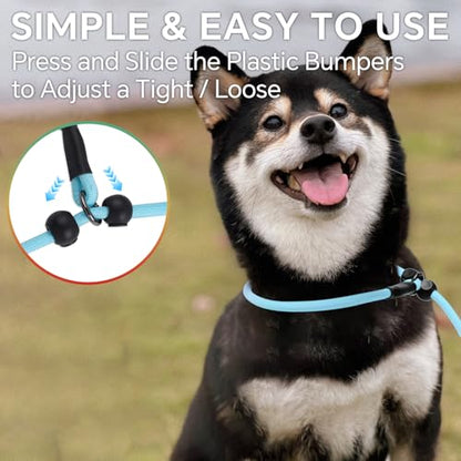 QQPETS Adjustable Slip Lead Dog Leash, Hands Free Waist Leash for Dog Walking, Reflective Training Lead with 360° Swivel Anti-Tangle, 4-7 ft Length for All Breeds - color: Vibrant Gradient