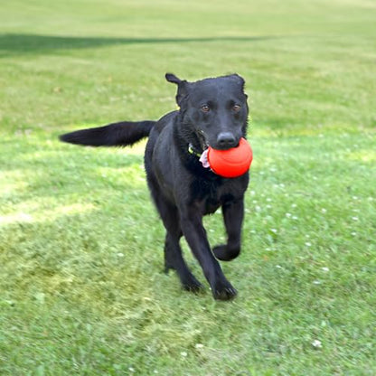 Chew King Flavored Rubber Ball Collection, 4 Inch Beef Flavor Rubber Fetch Balls 2-Pk - color: J) 4" 2-Pack (Beef)