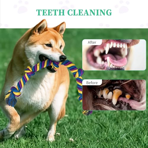 Dog Rope Toys for Large/Medium Aggressive Chewers, Tough Cotton Chew Toy, Tug of War Dog Pull Rope Teeth Cleaning (2 Pack-26.7Inch) - size: 2 Pack-26.7Inch