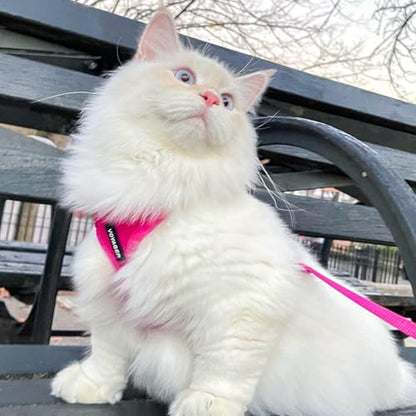 Best Pet Supplies Voyager Step-in Lock Pet Harness w Reflective Pet Leash Combo Set with Neoprene Handle 5ft - Supports Small, Medium and Large Breed Puppies/Cats - Fuchsia, XS - color: Harness Leash Set (Fuchsia), size: XS (Chest: 13 - 16")