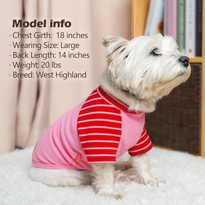 KYEESE 2Pack Dog Sweater, Soft Puppy Sweatshirt Stretchy Pullover Dog Sweater for Small Dogs Girl Boy, Lightweight Fleece Cat Shirt Pet Clothes with Sleeves, M - color: 10# Pink, size: Medium (8.5-13lbs)