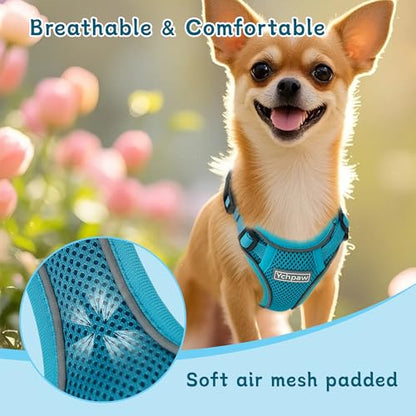Small Dog Harness and Leash Set, Reflective Soft Breathable Mesh Vest, 3 Buckles, Adjustable Neck and Chest,Step in Dog Harness for Walking, Running, Training, Turquoise, XS - color: Turquoise, size: X-Small